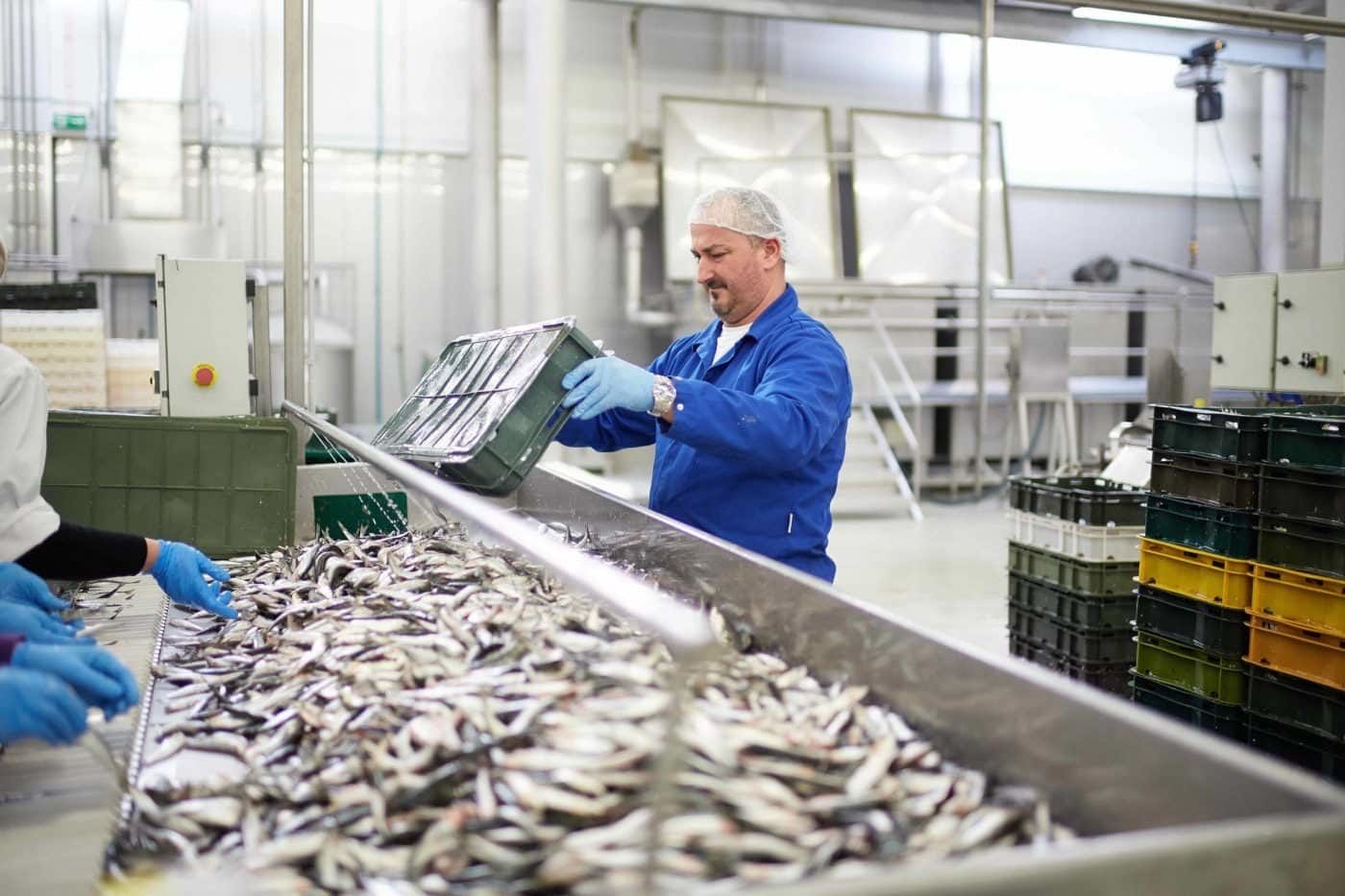URGENT HIRING – General Workers for Fish Factory in BULGARIA (6 Positions)